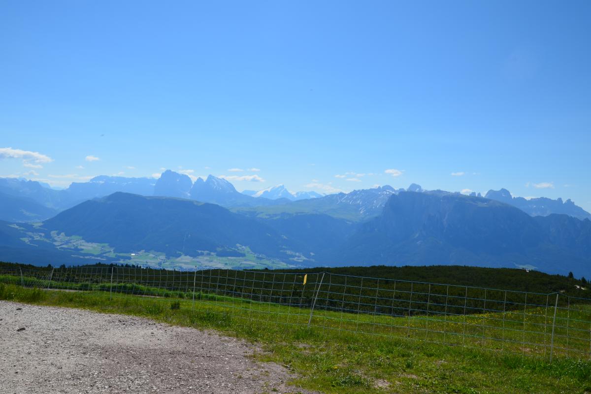 Latschenbrennerei und Platzer Alm2 23.06.2020